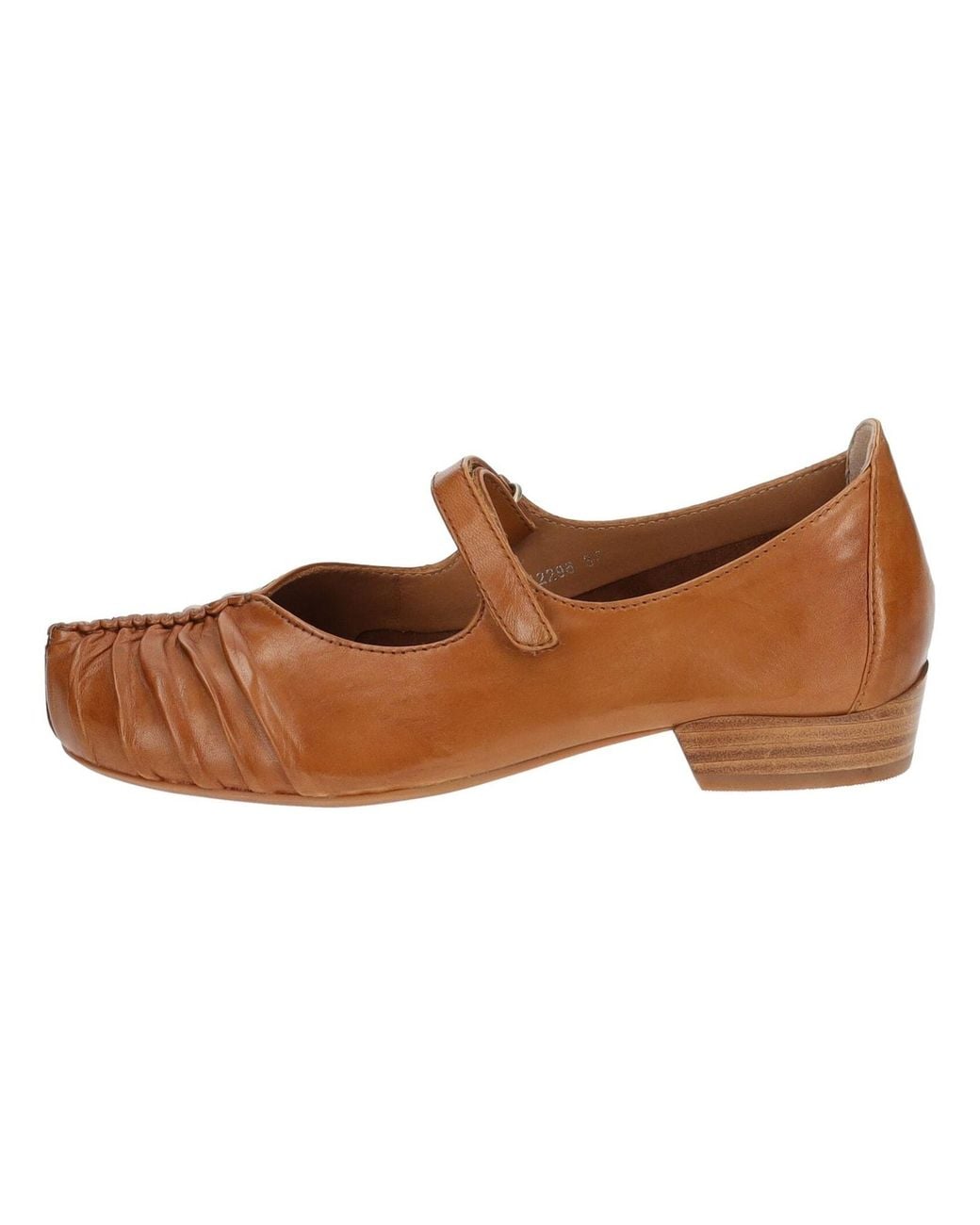 Everybody Brown Ballerina