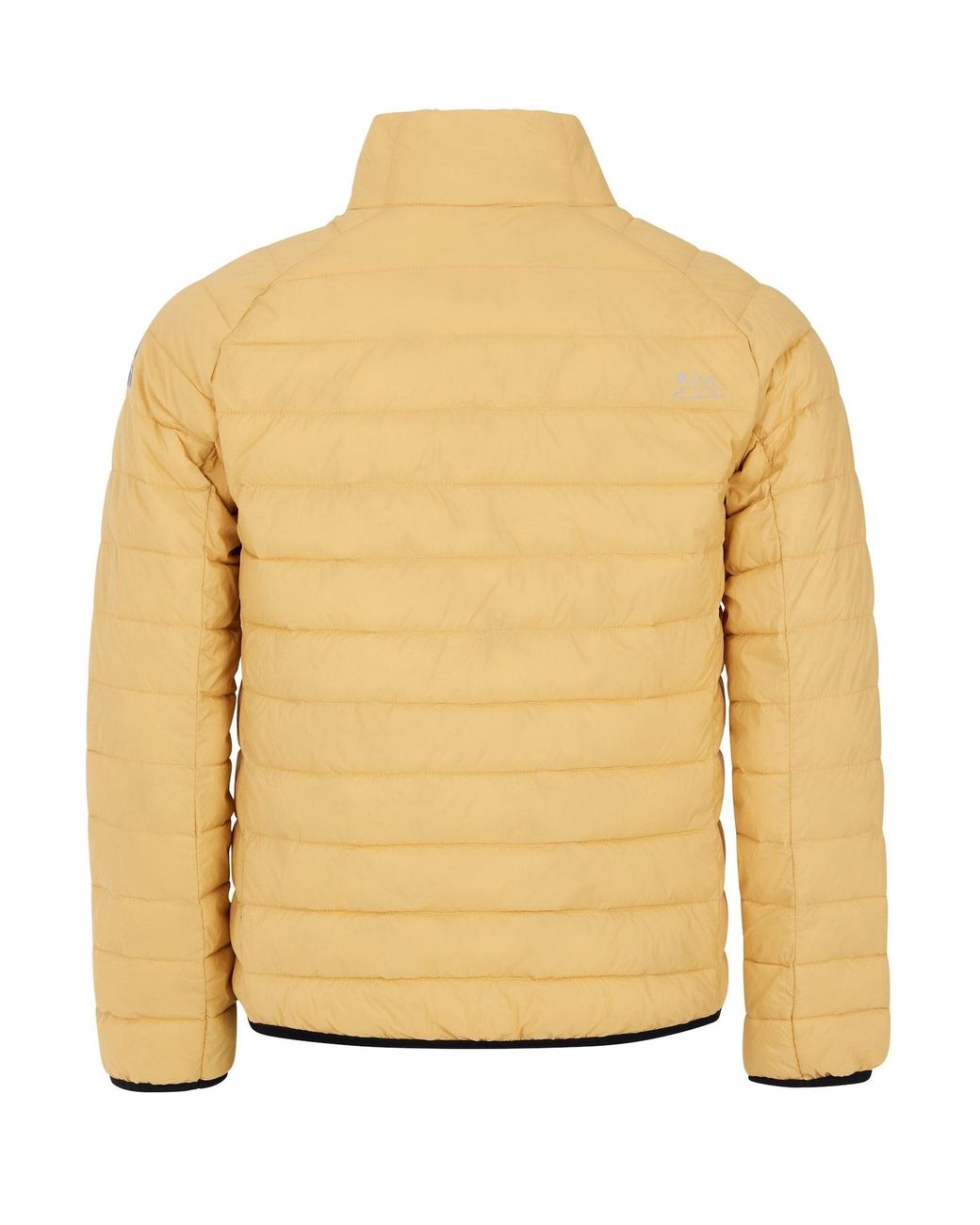 Protest Winterjacke Prtshaffer in Natural für Herren