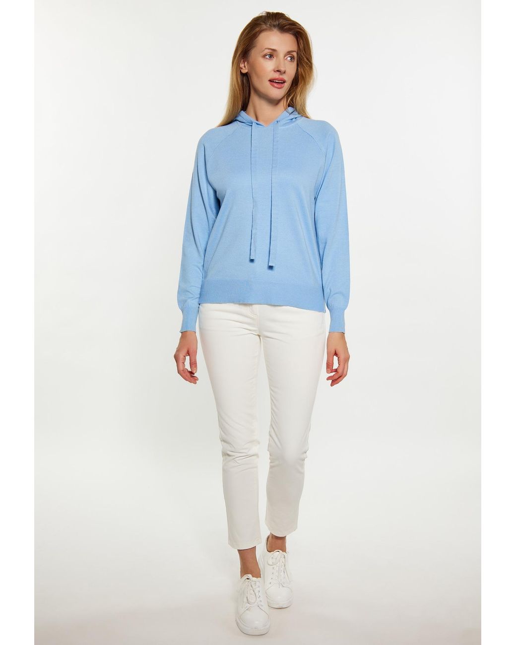 usha BLUE LABEL Blue Pullover