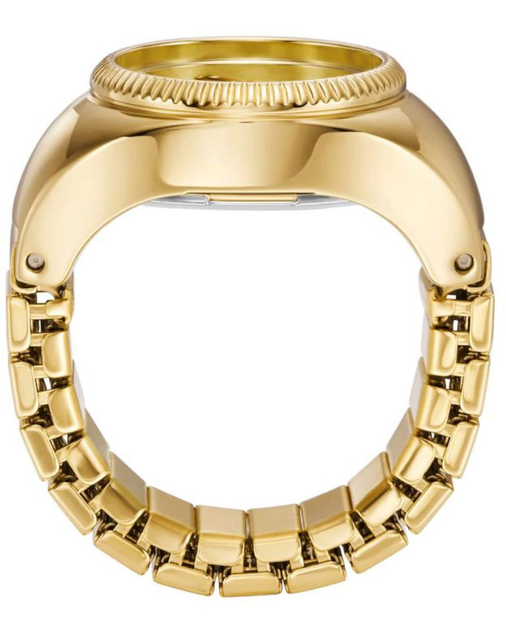 Fossil Metallic Ring