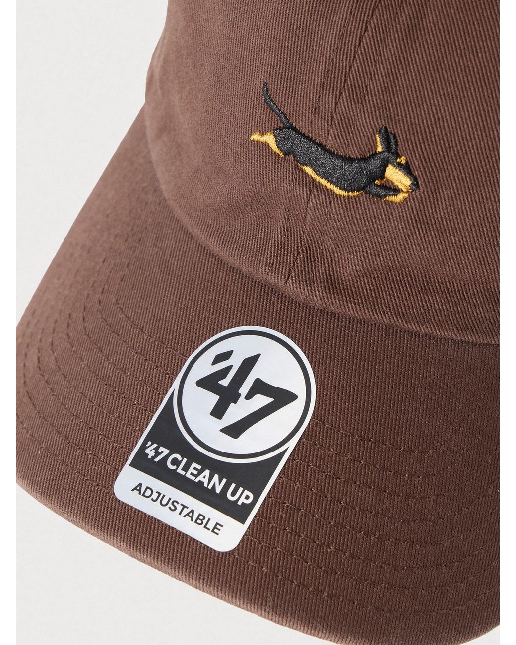 '47 Brown Cap Dog Clean Up