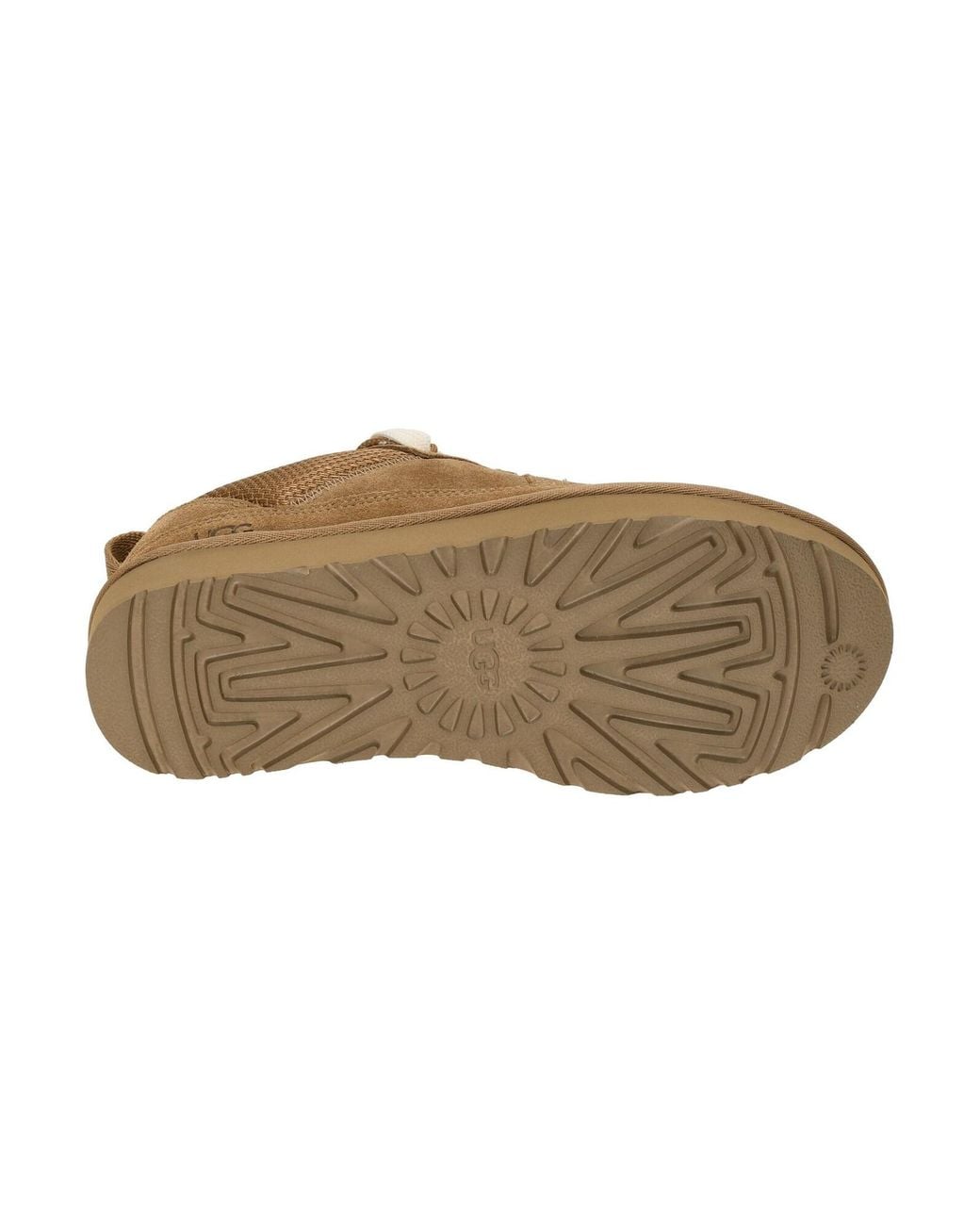 Ugg Brown Schnürschuh