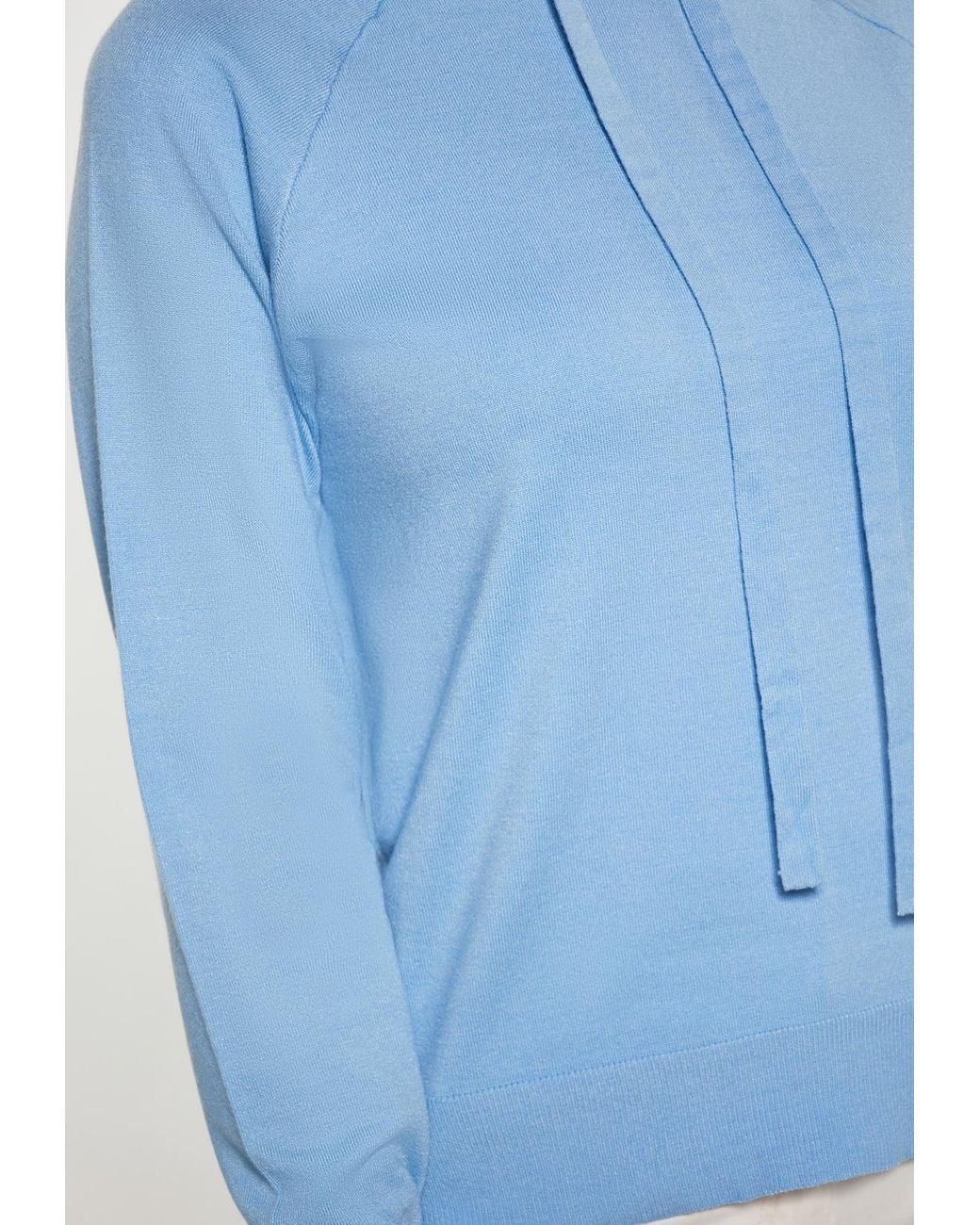 usha BLUE LABEL Blue Pullover