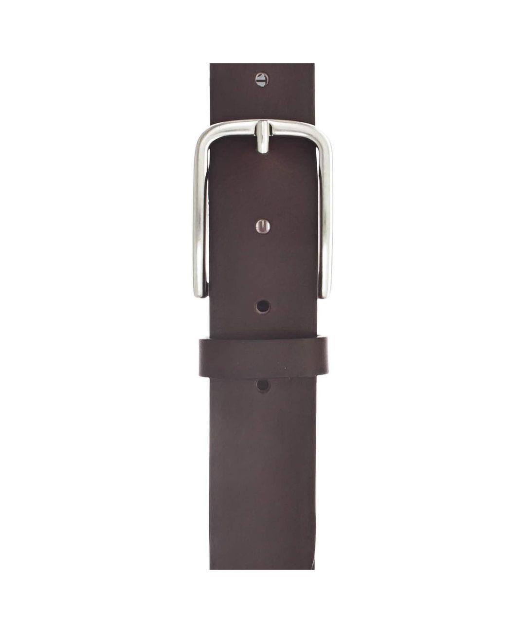 Vanzetti Gürtel in Brown für Herren
