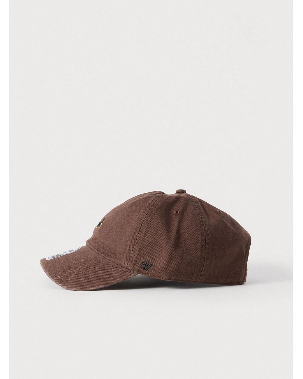 '47 Brown Cap Dog Clean Up