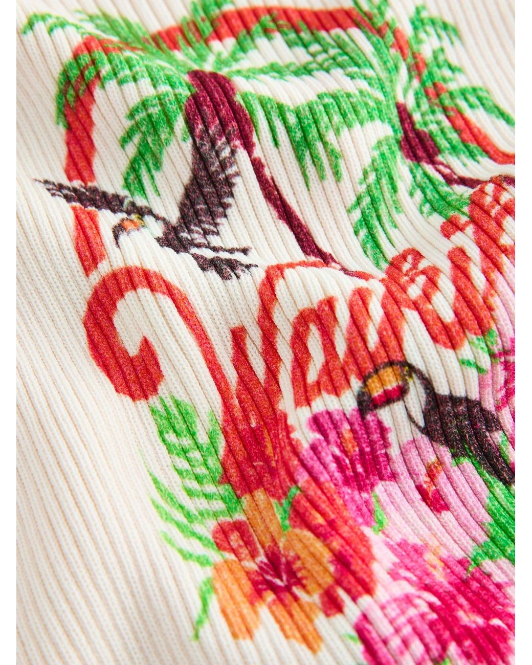 Next Multicolor Top