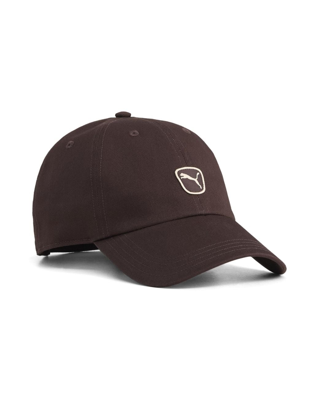 PUMA Brown Cap