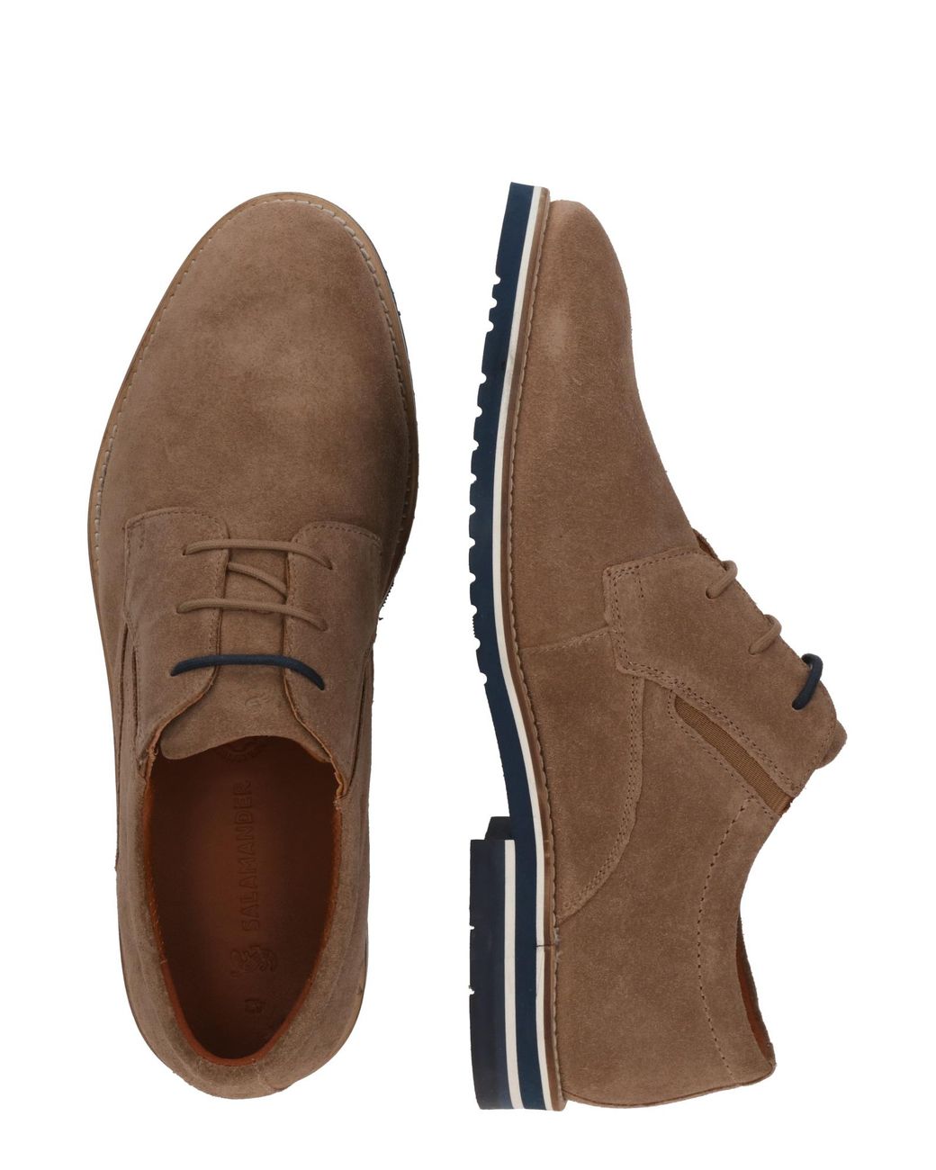 Salamander Schnürschuh in Brown für Herren