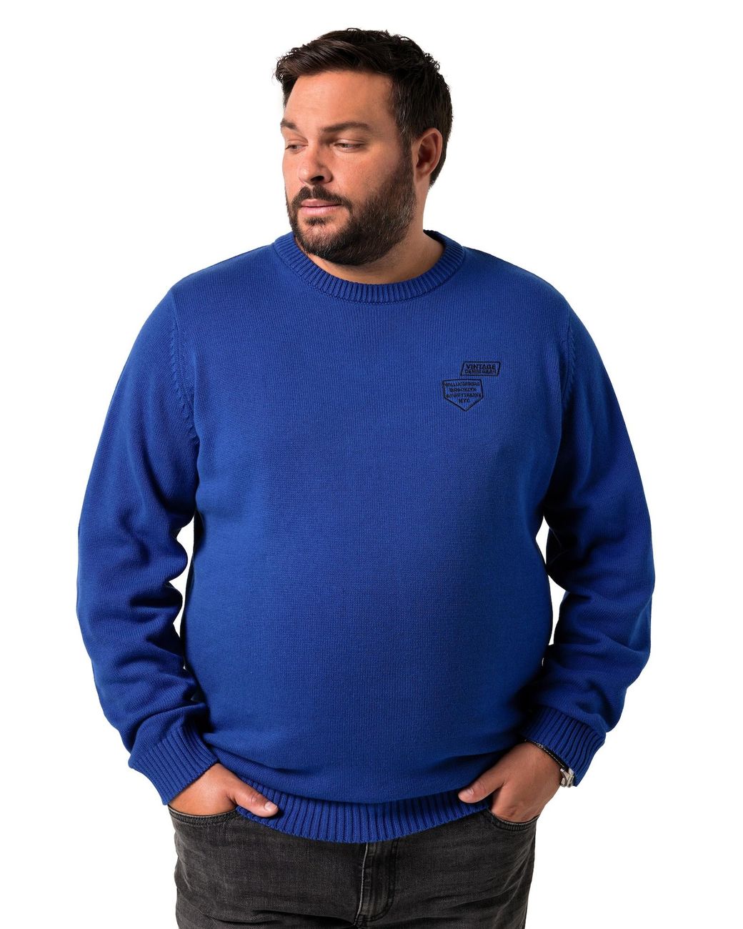 Men Plus Pullover in Blue für Herren