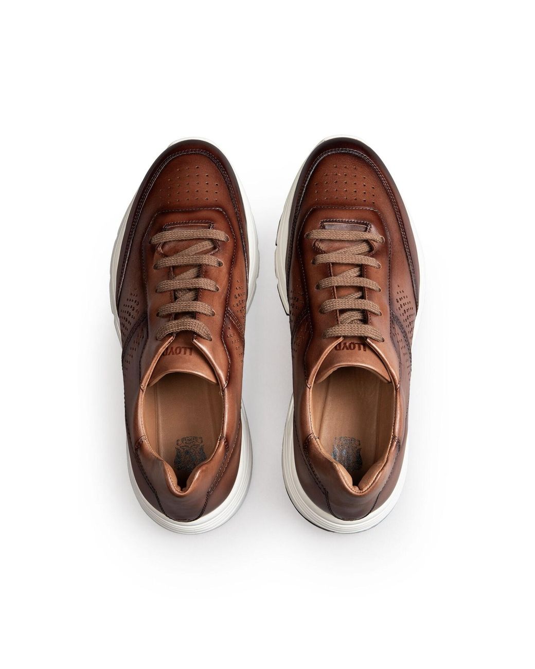 Lloyd Sneaker Echo Luxe in Brown für Herren