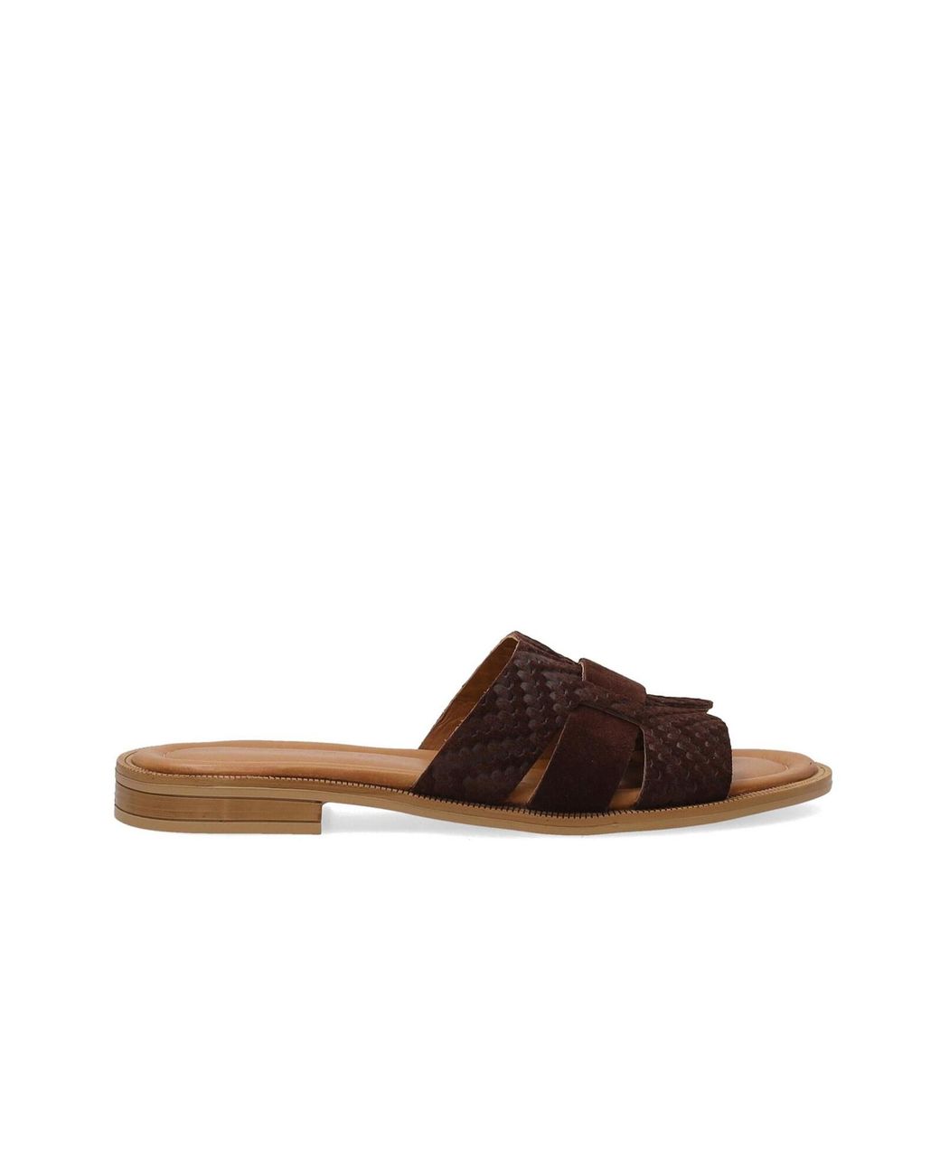 Venezia Brown Pantolette