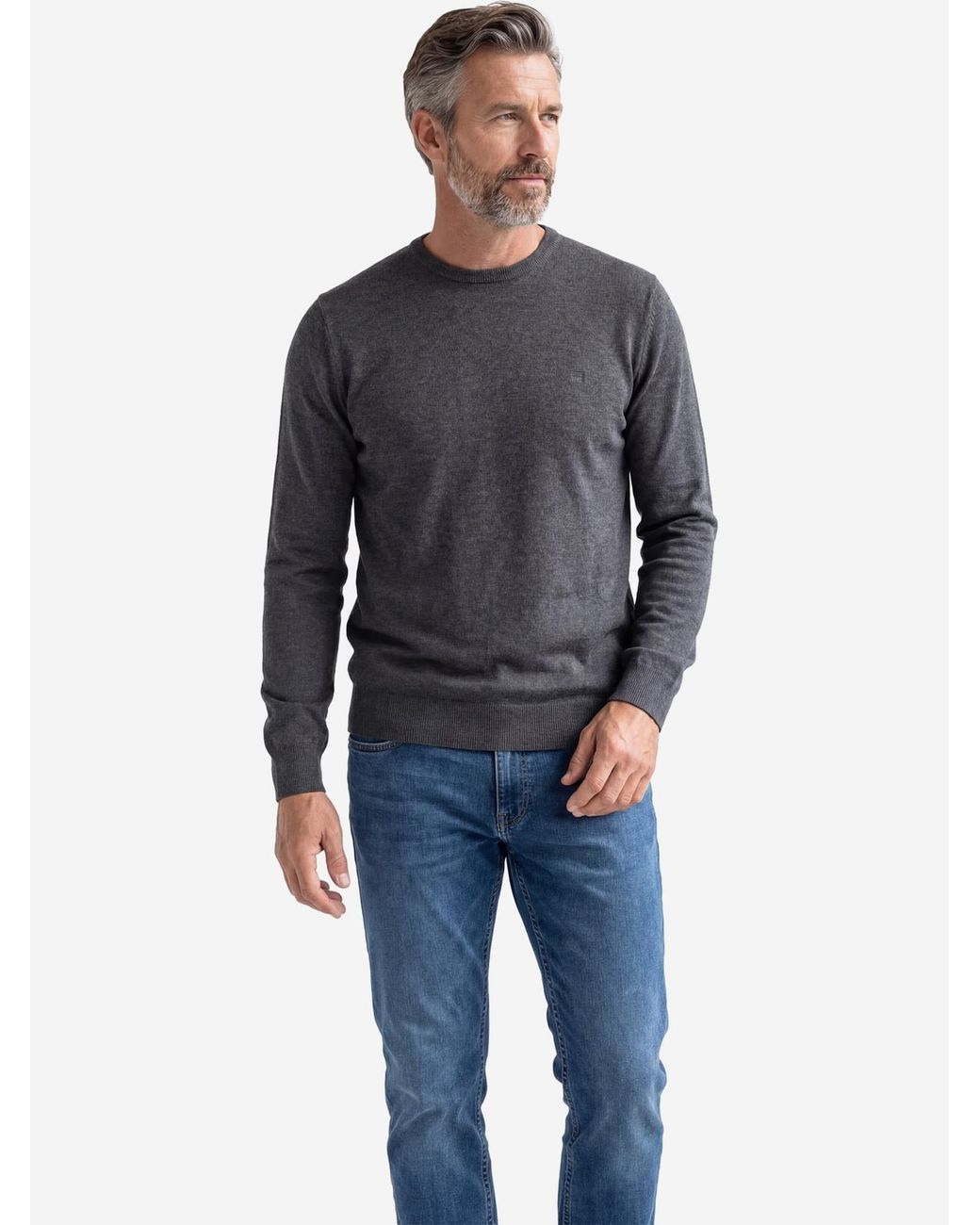 Redmond Pullover Basic in Gray für Herren