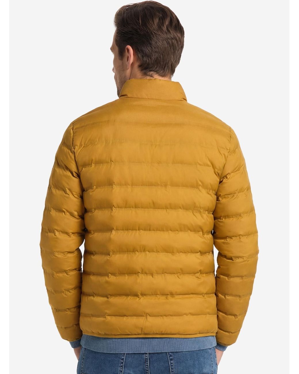 Redmond Übergangsjacke Basic in Yellow für Herren
