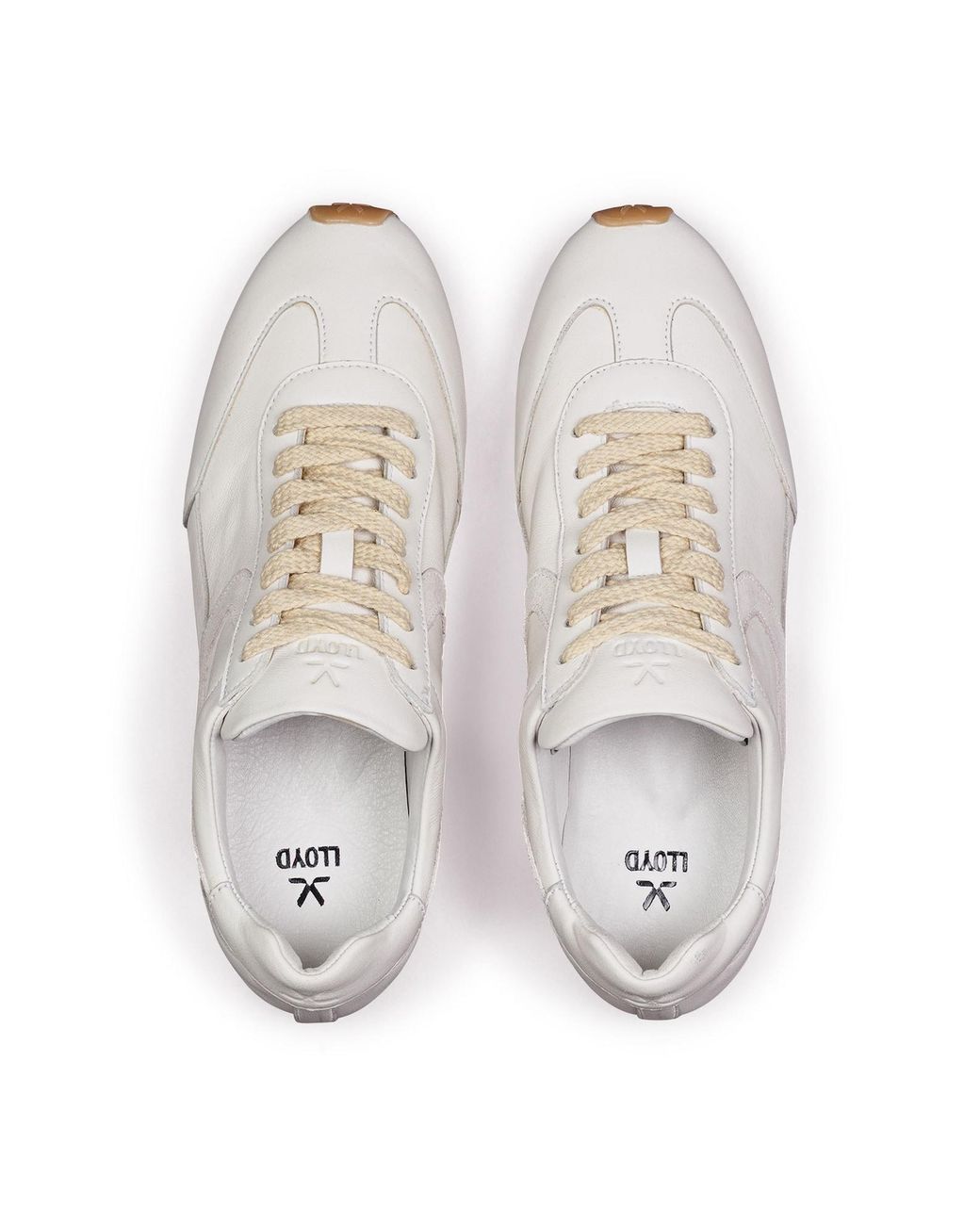 Lloyd White Sneaker Velocity