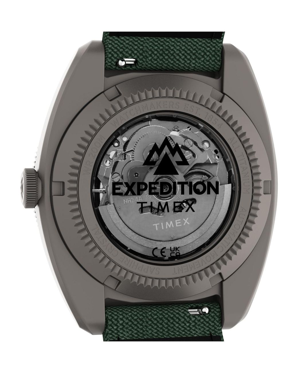 Timex Analoguhr in Green für Herren