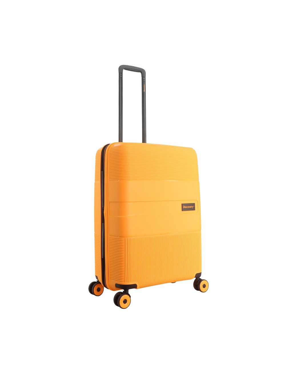 Discovery Koffer Trails in Orange für Herren