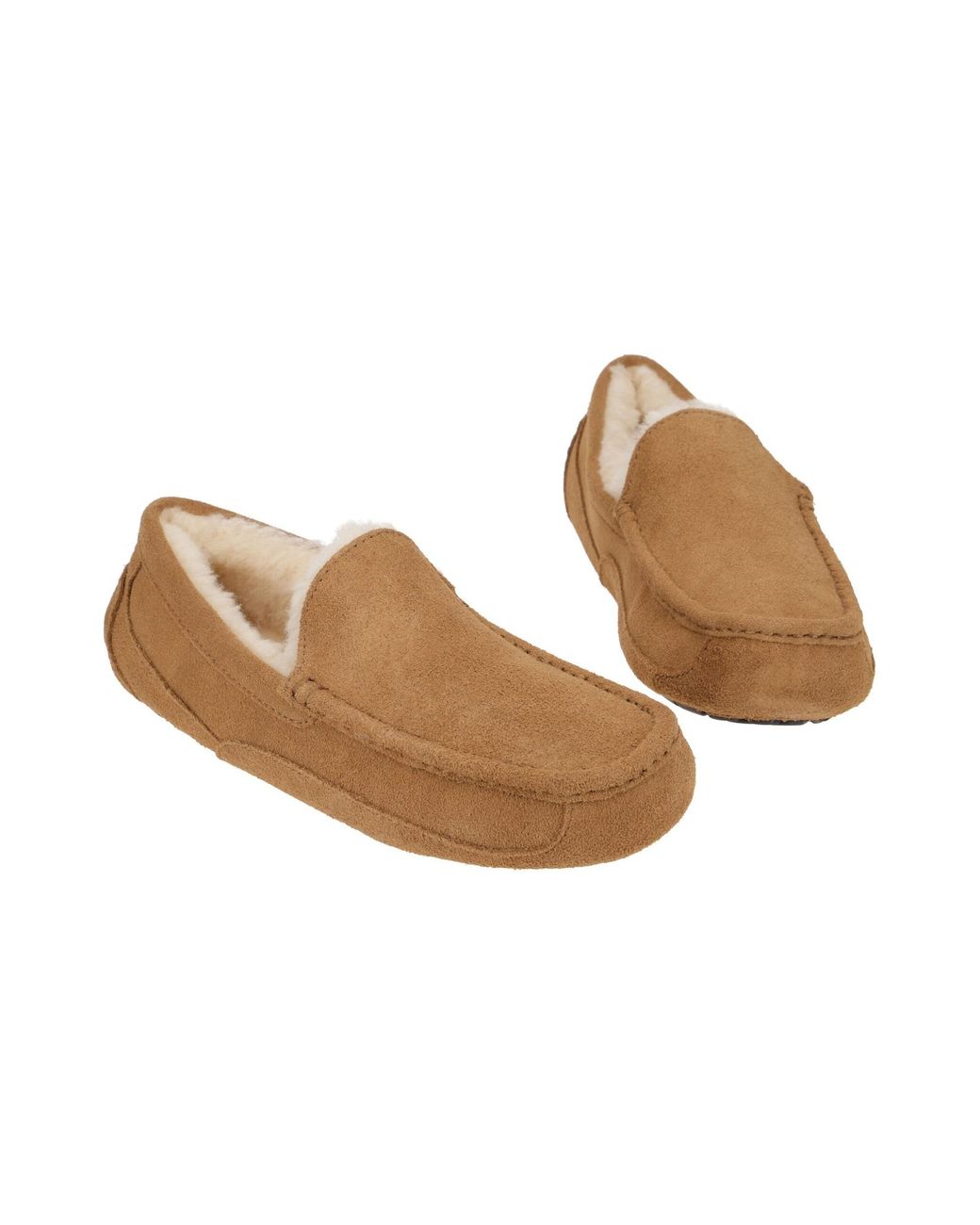 Ugg Slipper Ascot 1101110 in White für Herren