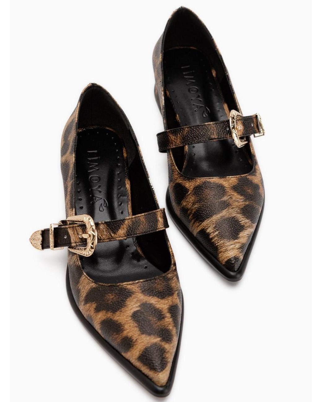 Limoya Black Pumps Jacklin