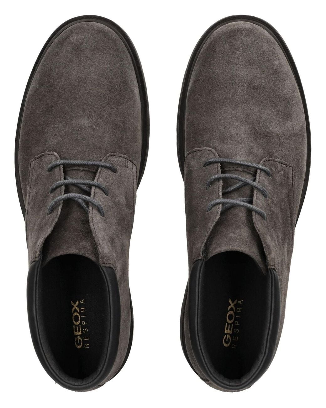 Geox Stiefelette in Black für Herren