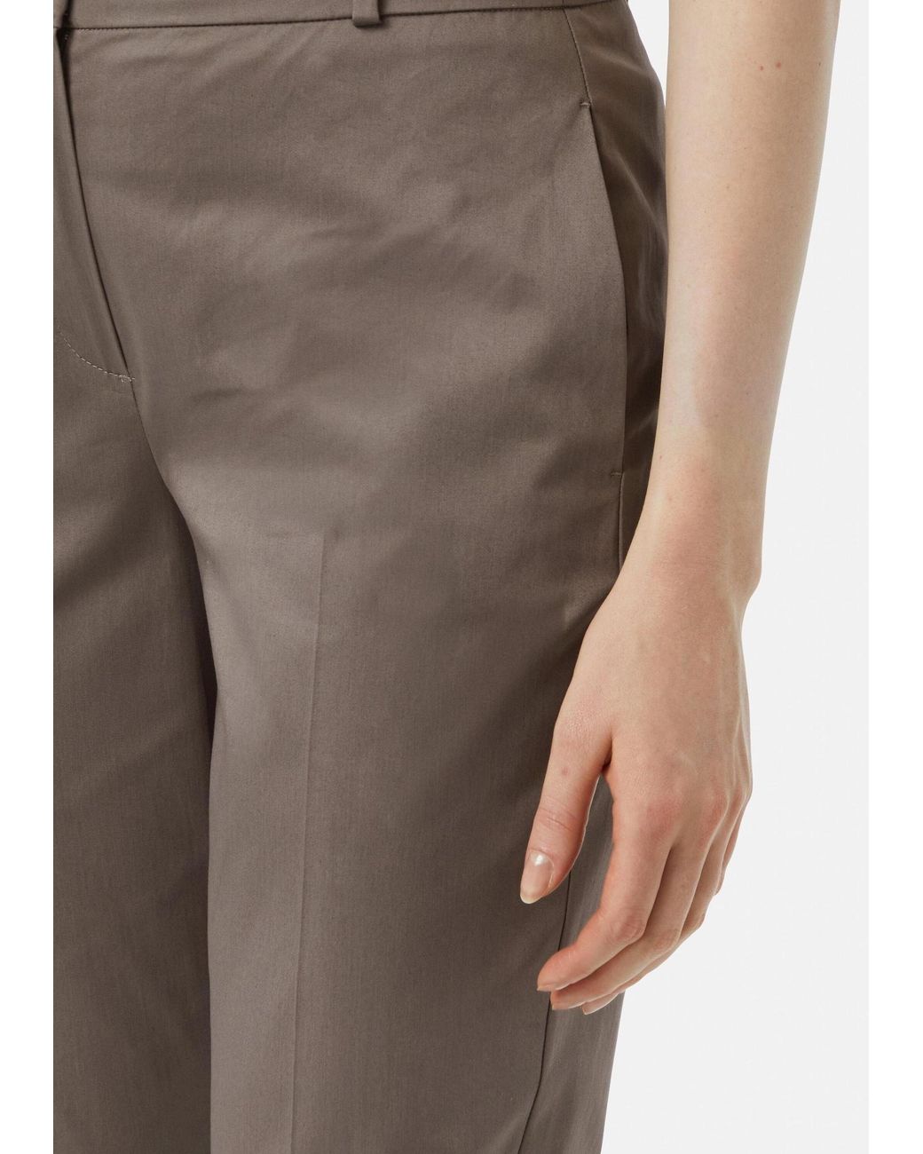 Comma, Gray Hose