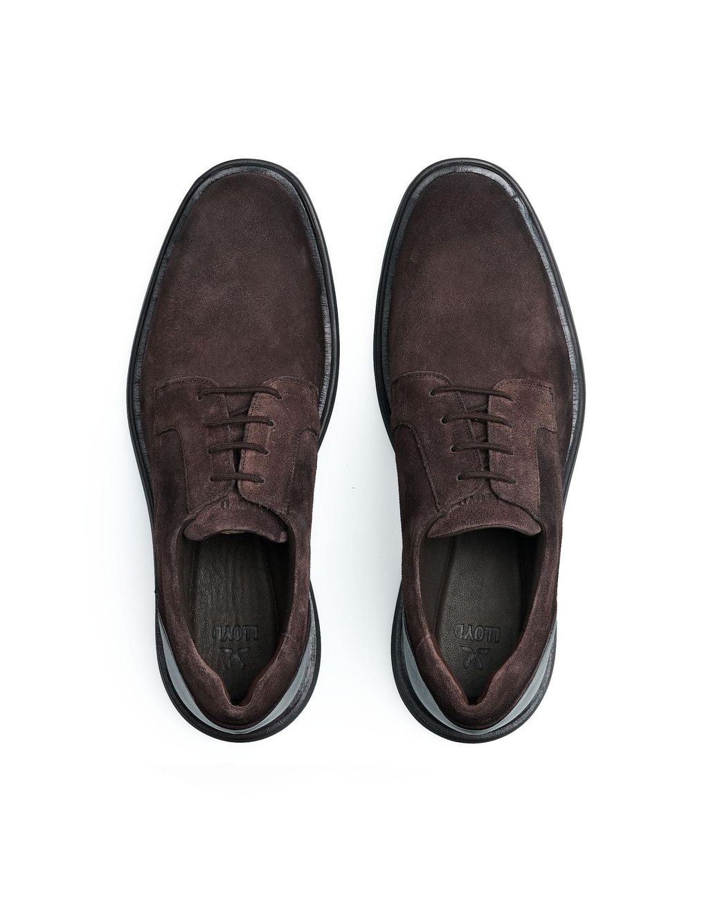 Lloyd Schuhe Sable 113 in Brown für Herren