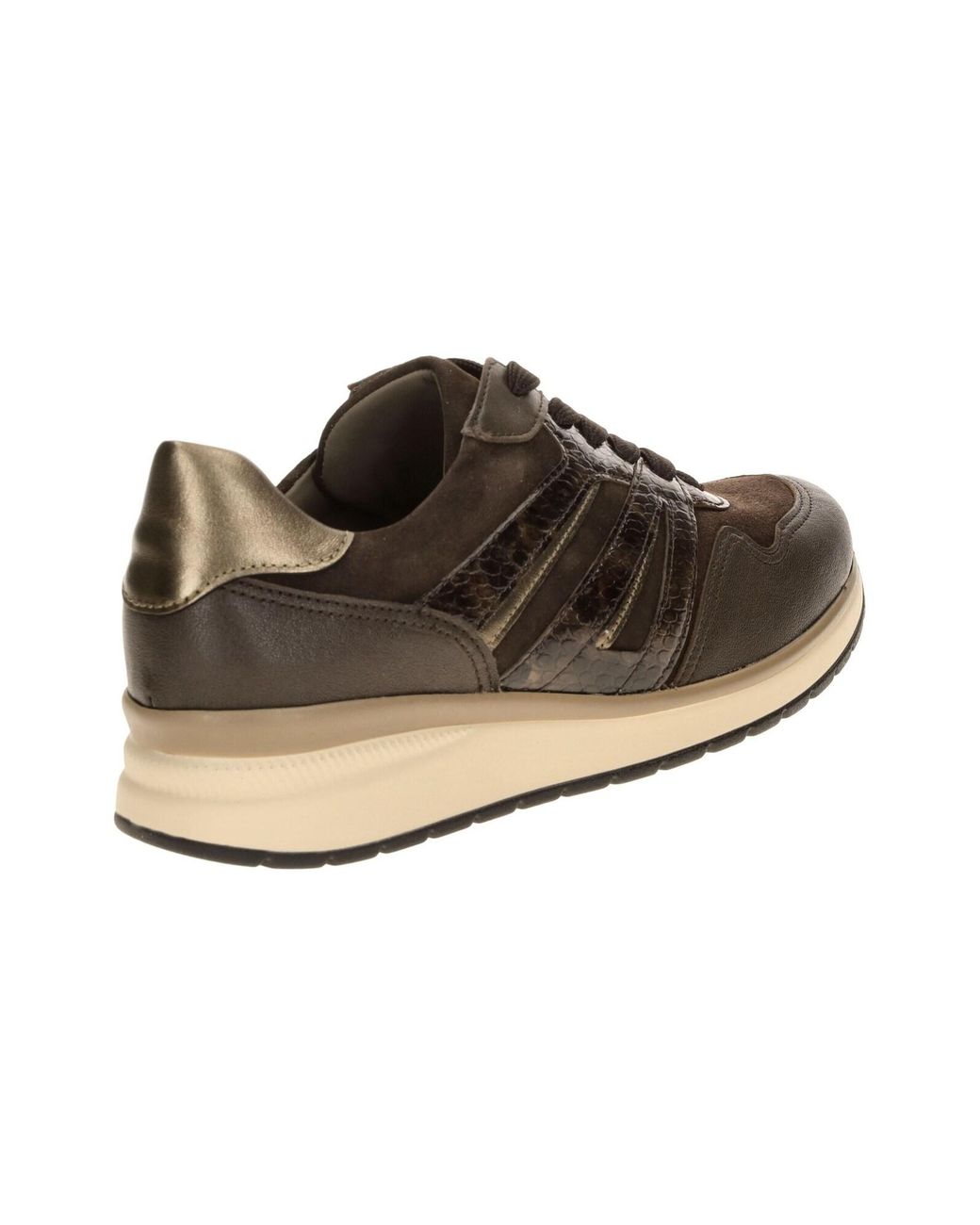 Gabor Brown Sneaker Low 6020.01