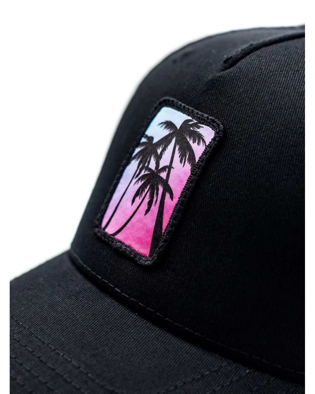 Be52 Blue Cap Palms