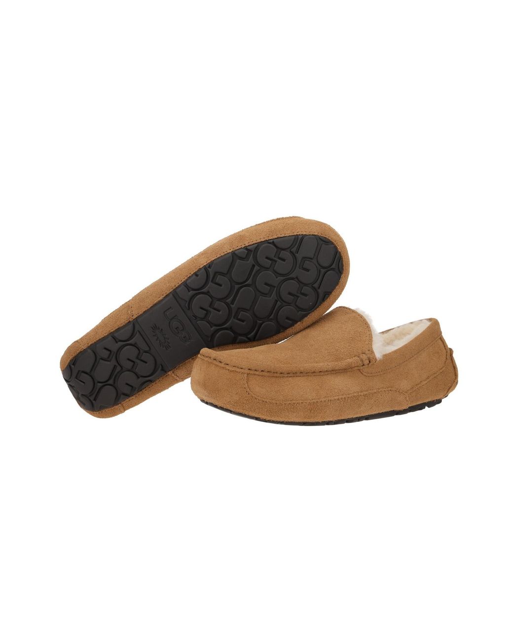 Ugg Slipper Ascot 1101110 in White für Herren