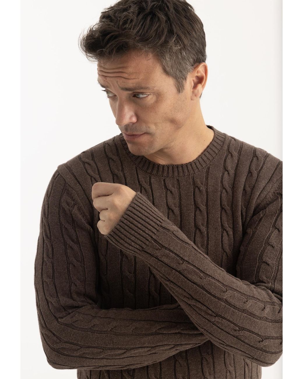 Felix Hardy Pullover in Brown für Herren