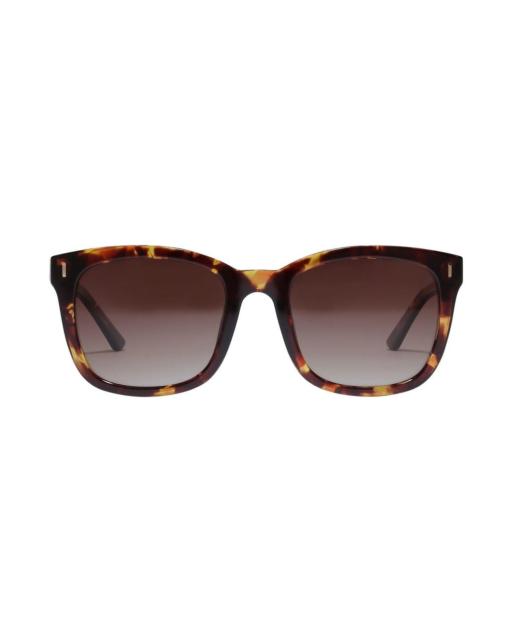 Pilgrim Sonnenbrille Katya in Brown für Herren