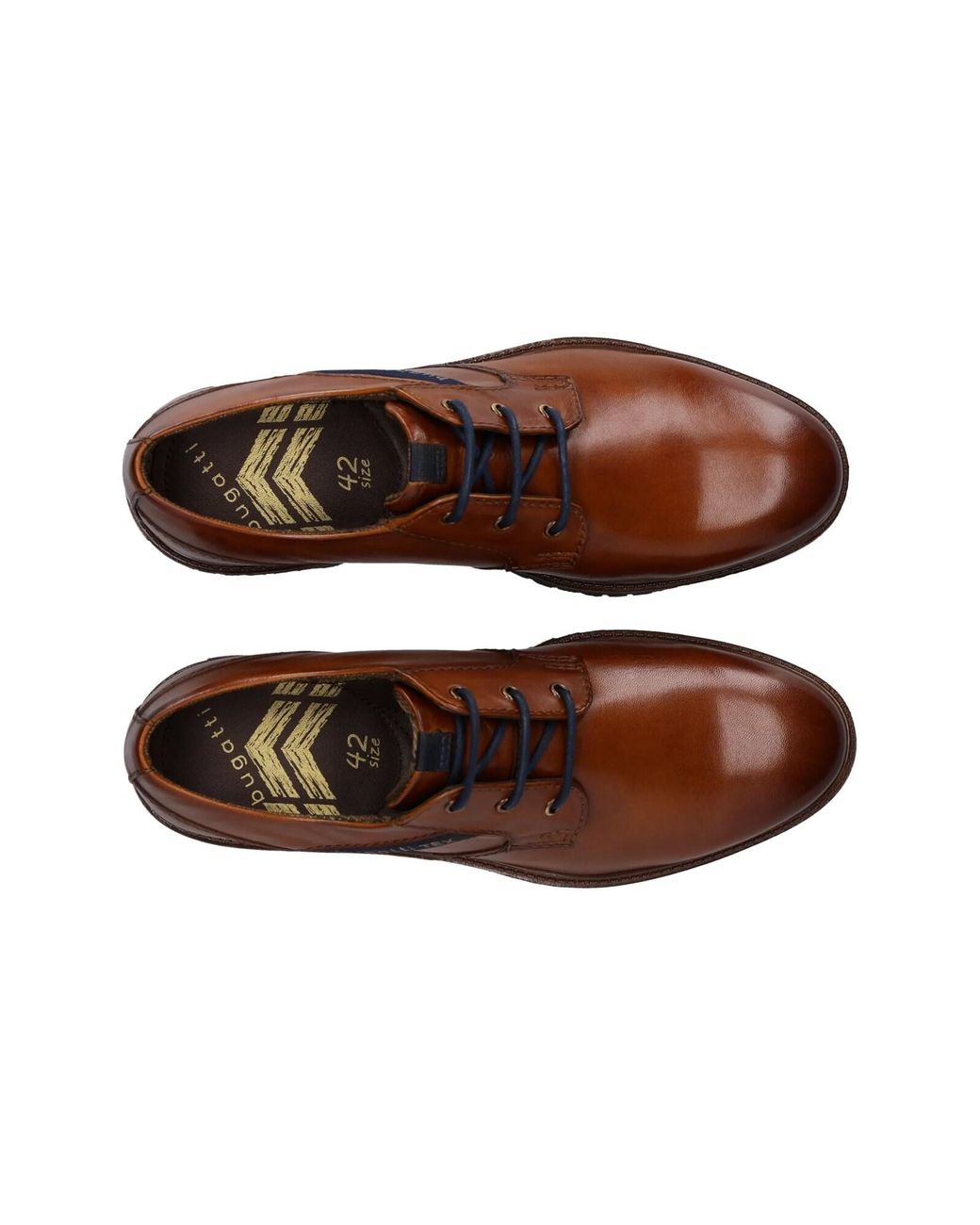 Bugatti Schnürschuh in Brown für Herren