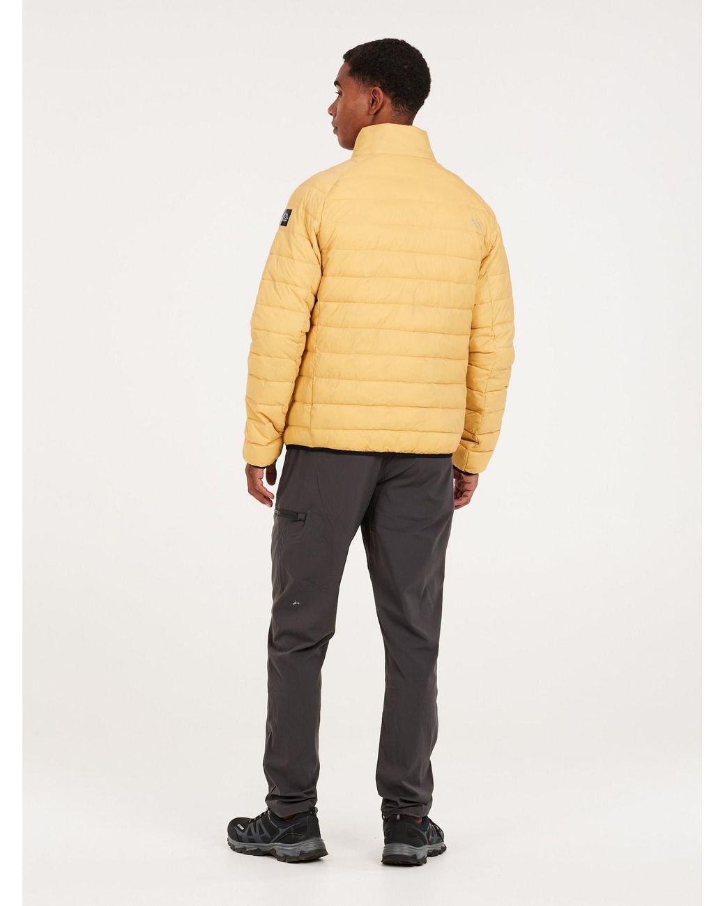 Protest Winterjacke Prtshaffer in Natural für Herren