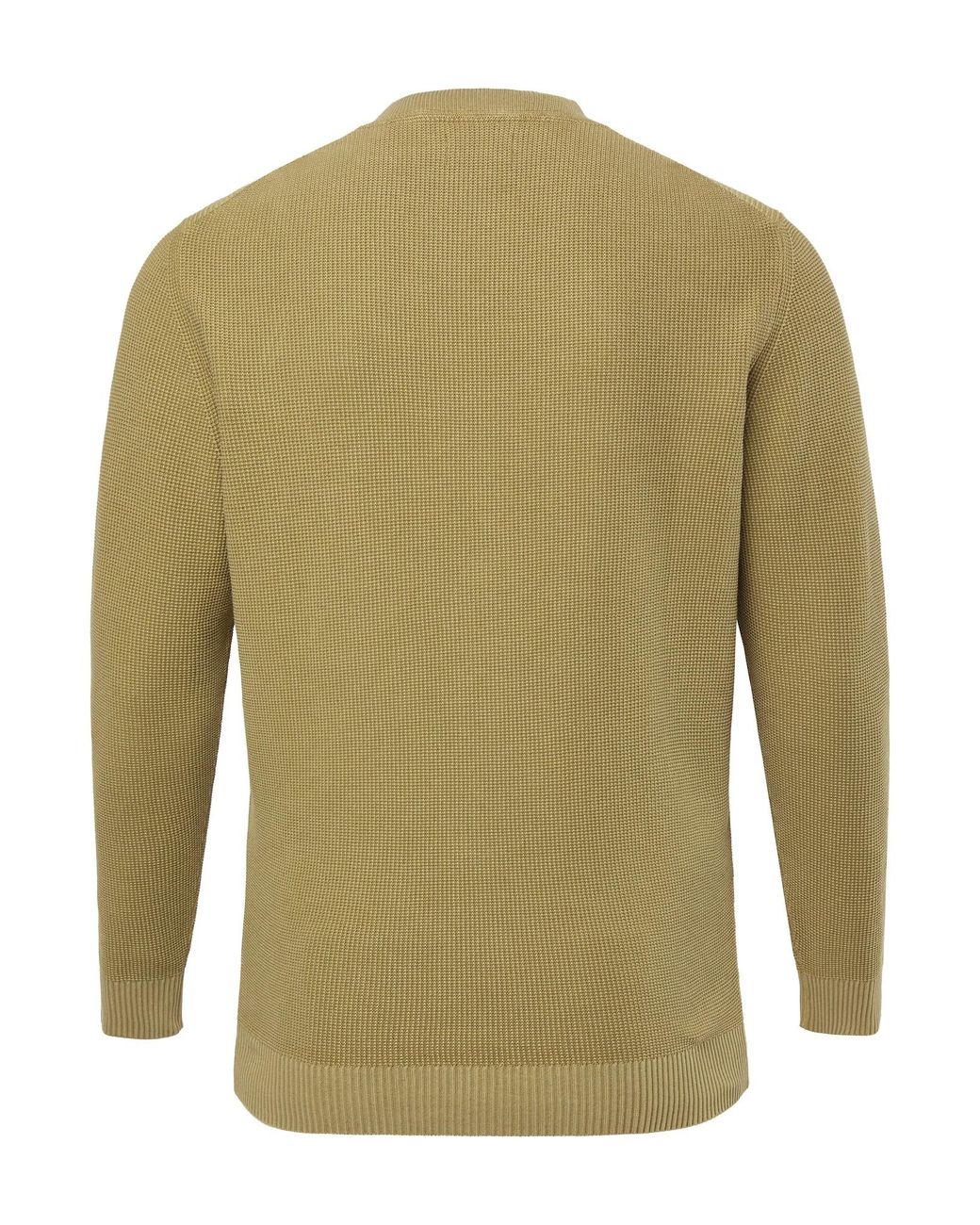 Men Plus Pullover in Green für Herren