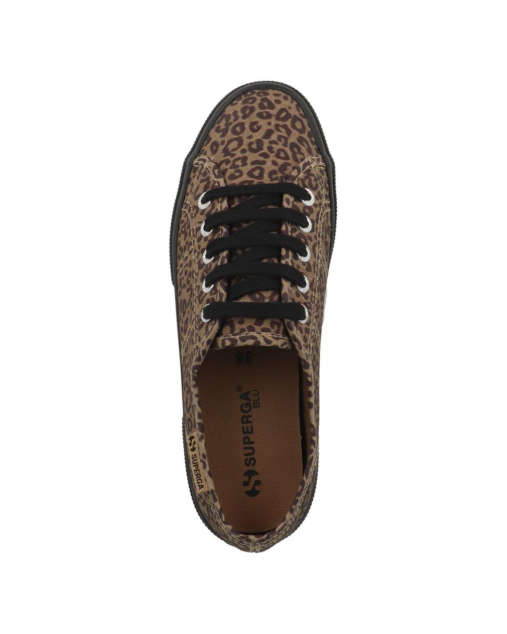 Superga Brown Sneaker