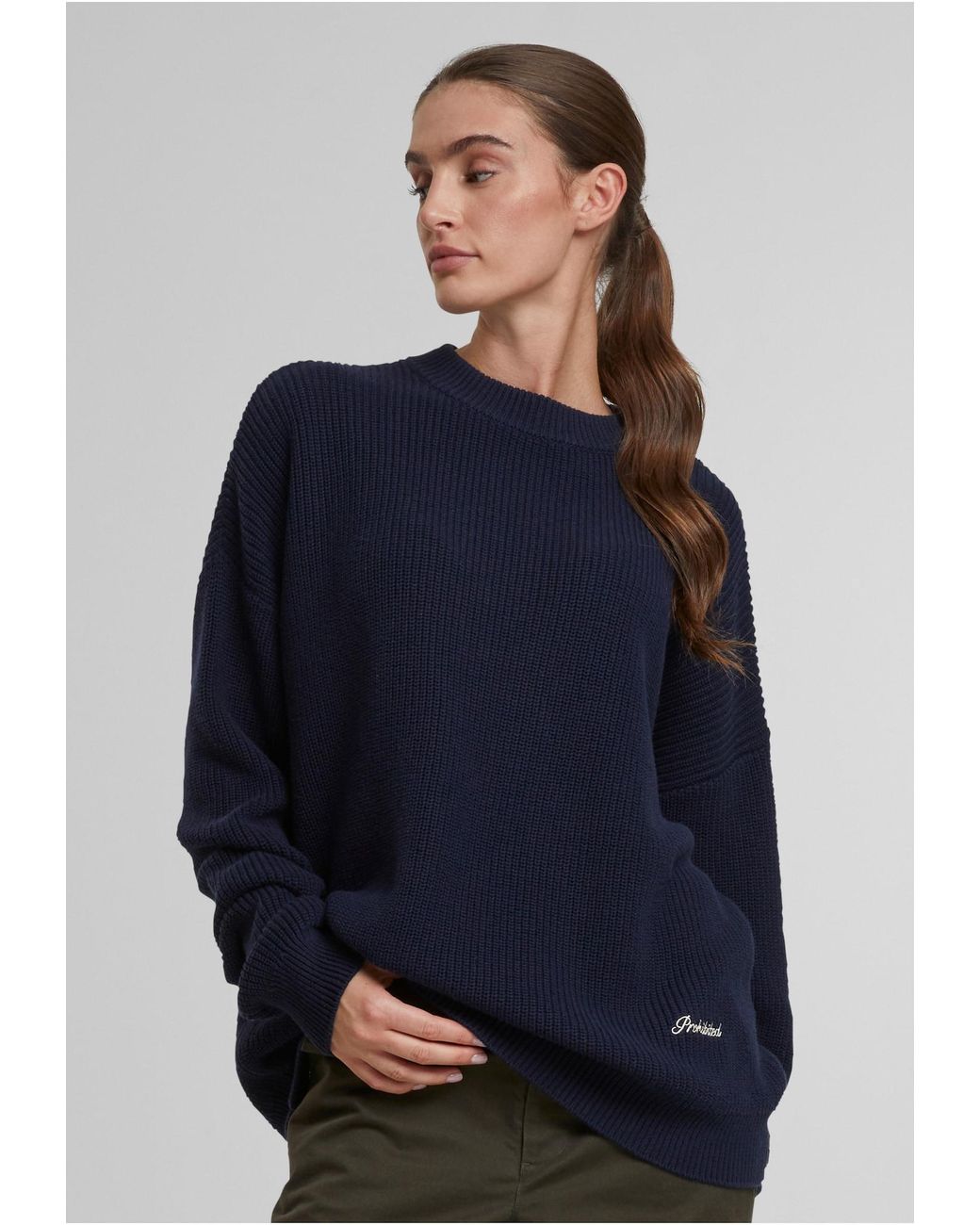 Prohibited Blue Pullover Westminster