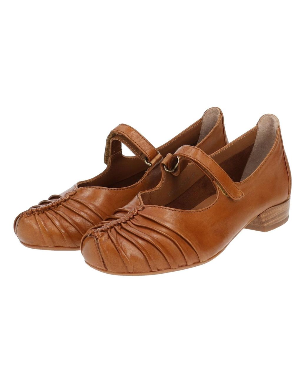 Everybody Brown Ballerina