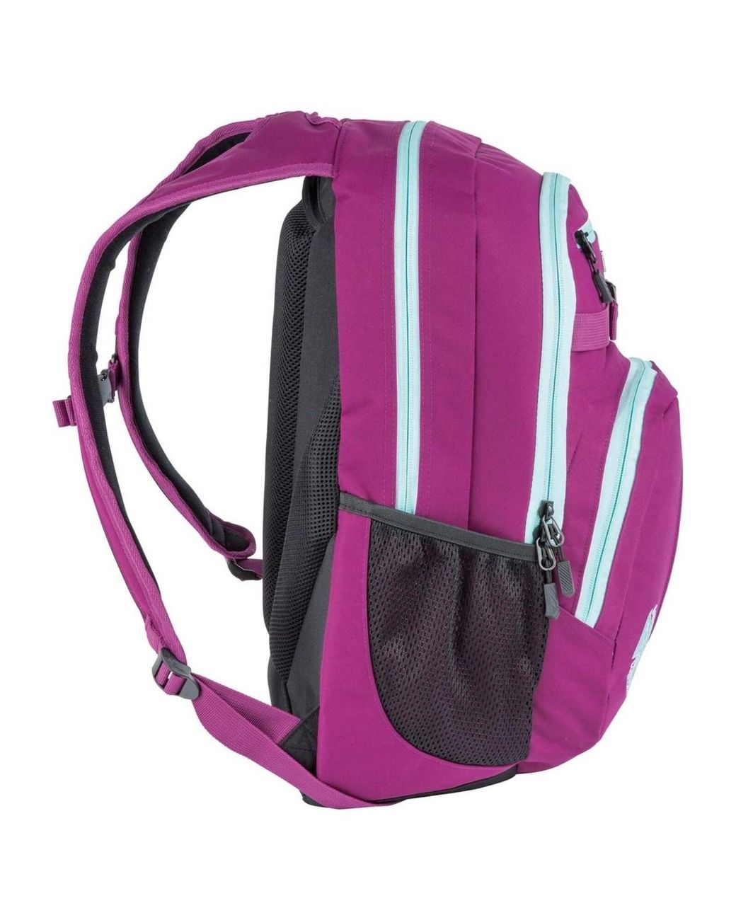 Nitro Rucksack in Purple für Herren