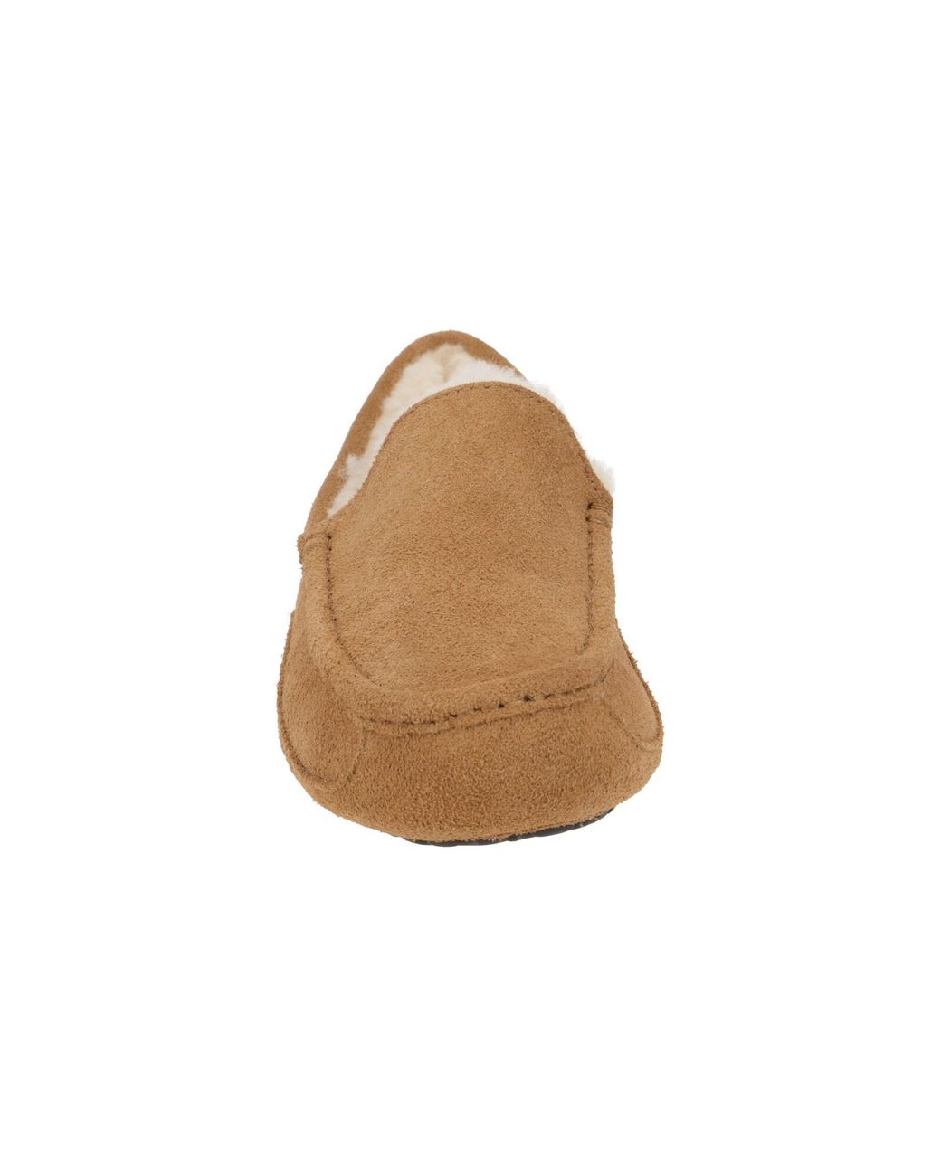 Ugg Slipper Ascot 1101110 in White für Herren
