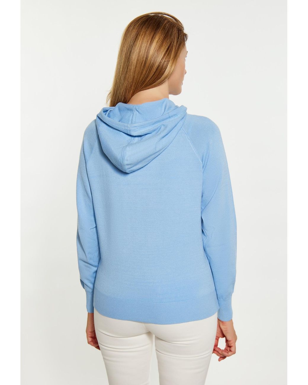usha BLUE LABEL Blue Pullover