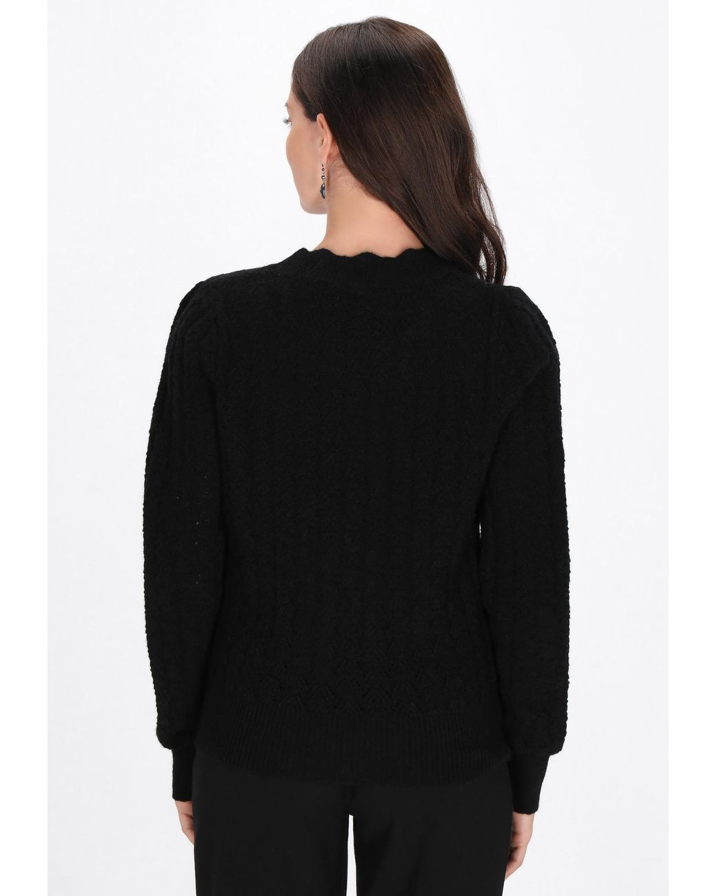 usha BLACK LABEL Black Pullover