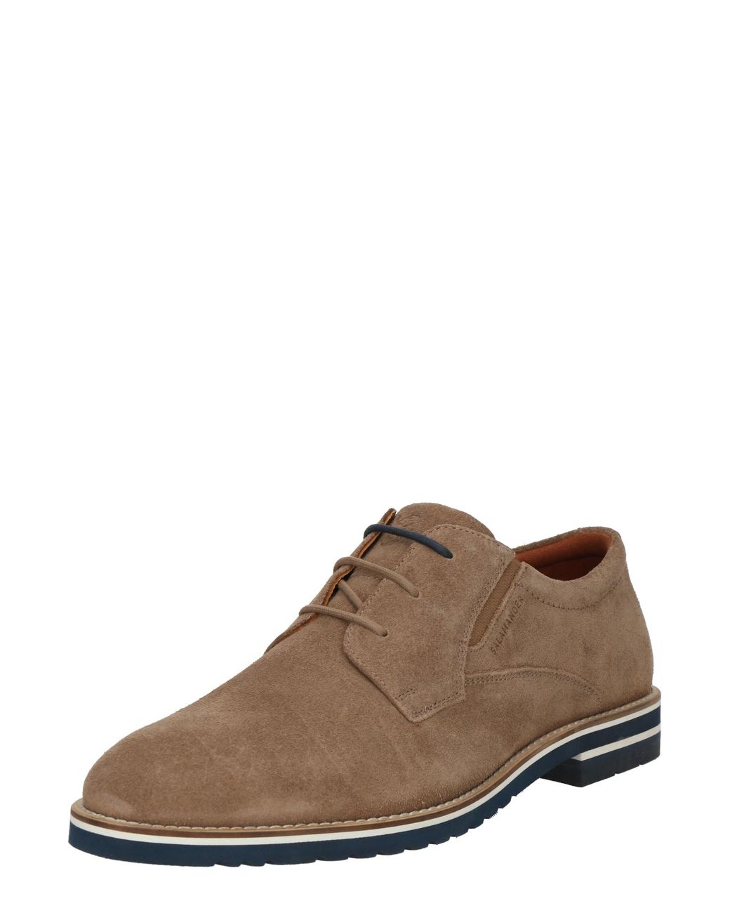 Salamander Schnürschuh in Brown für Herren