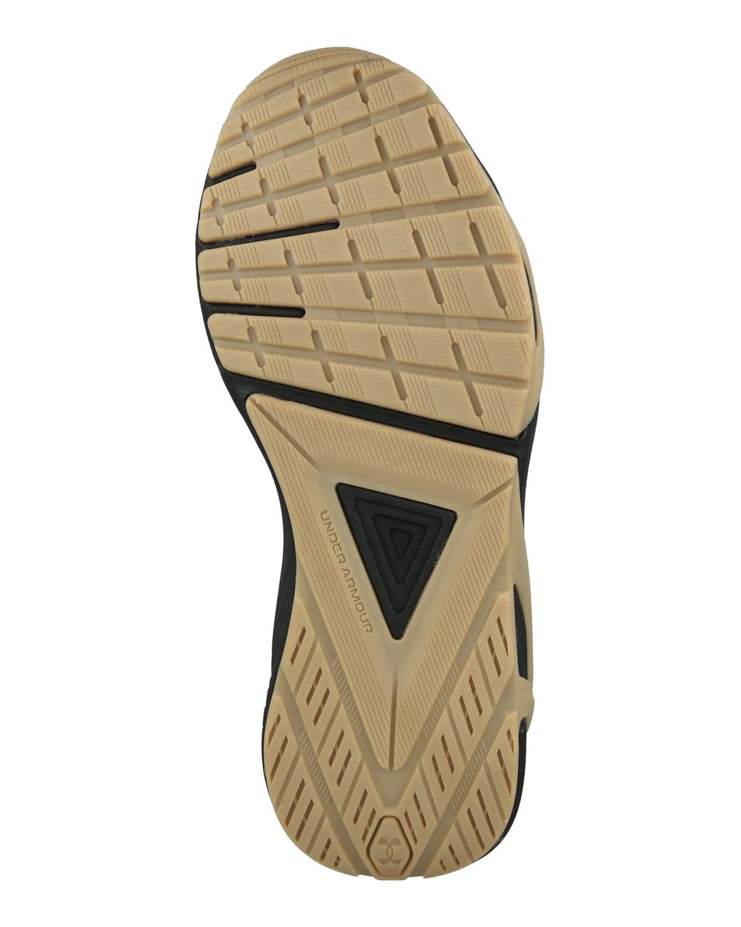 Under Armour Sportschuh Charged Commit Tr 5 in Blue für Herren