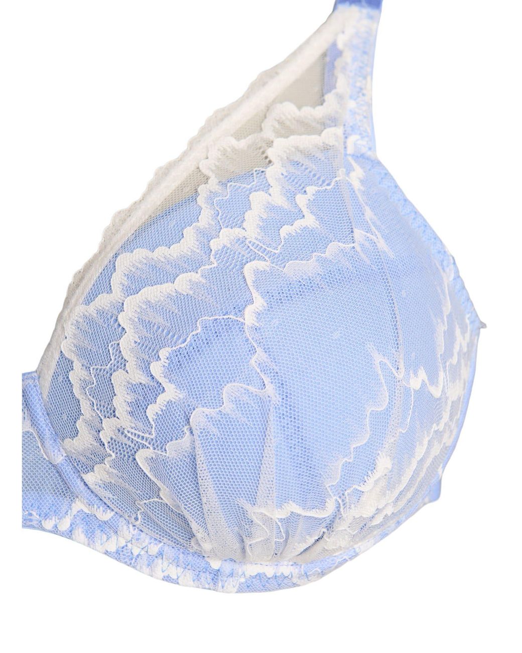 Devoted By Zizzi Blue Bh Lsofie