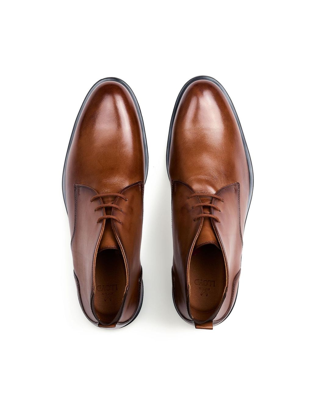 Lloyd Schuhe Eezy in Brown für Herren