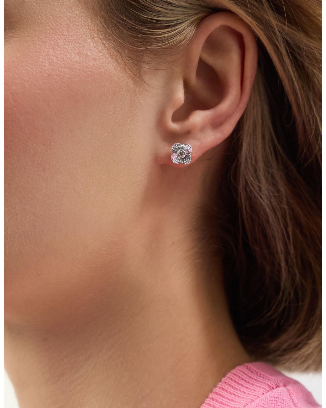 Accessorize Brown 3-Pack Clove Stud Earrings