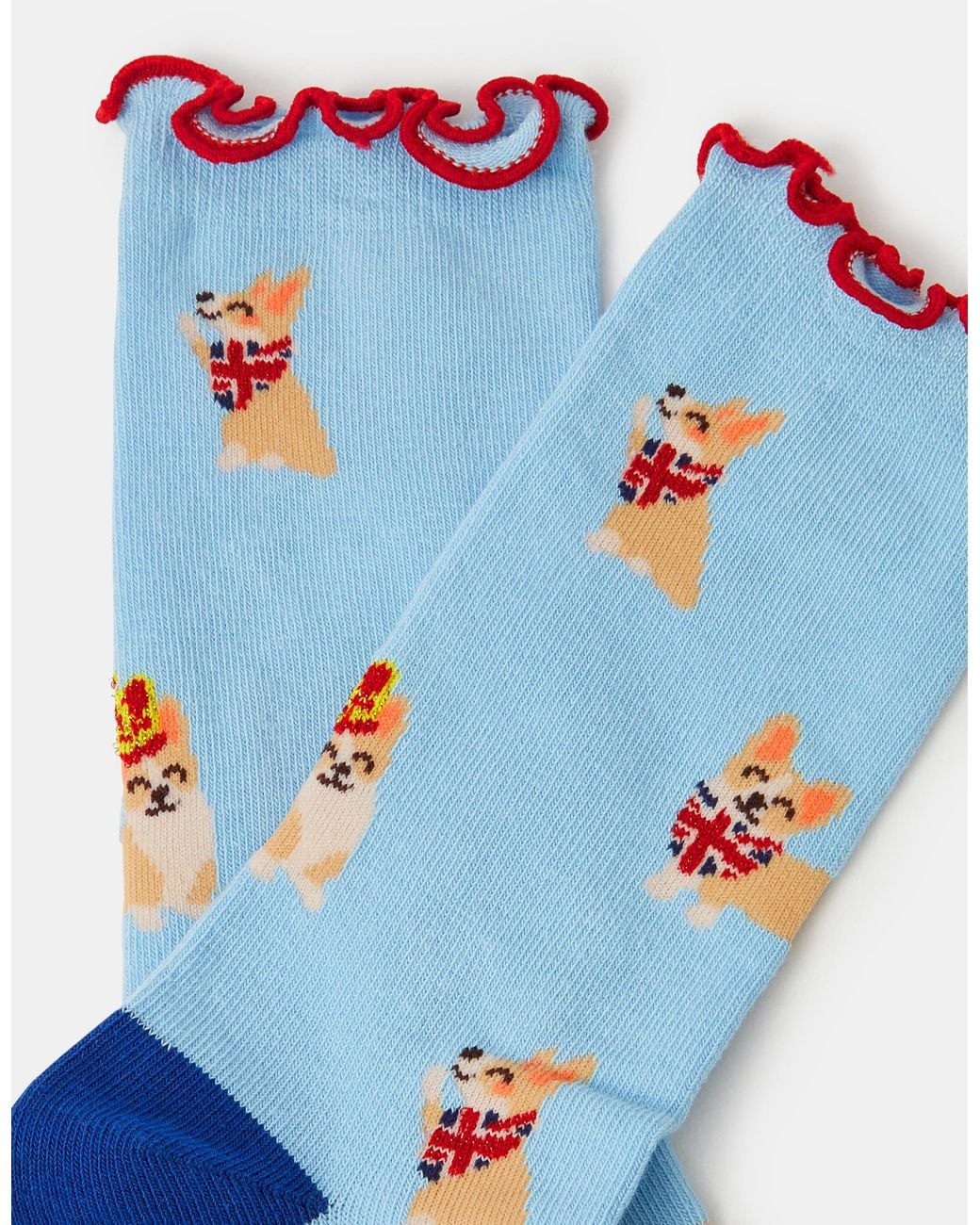 Accessorize Blue Corgi Print Socks