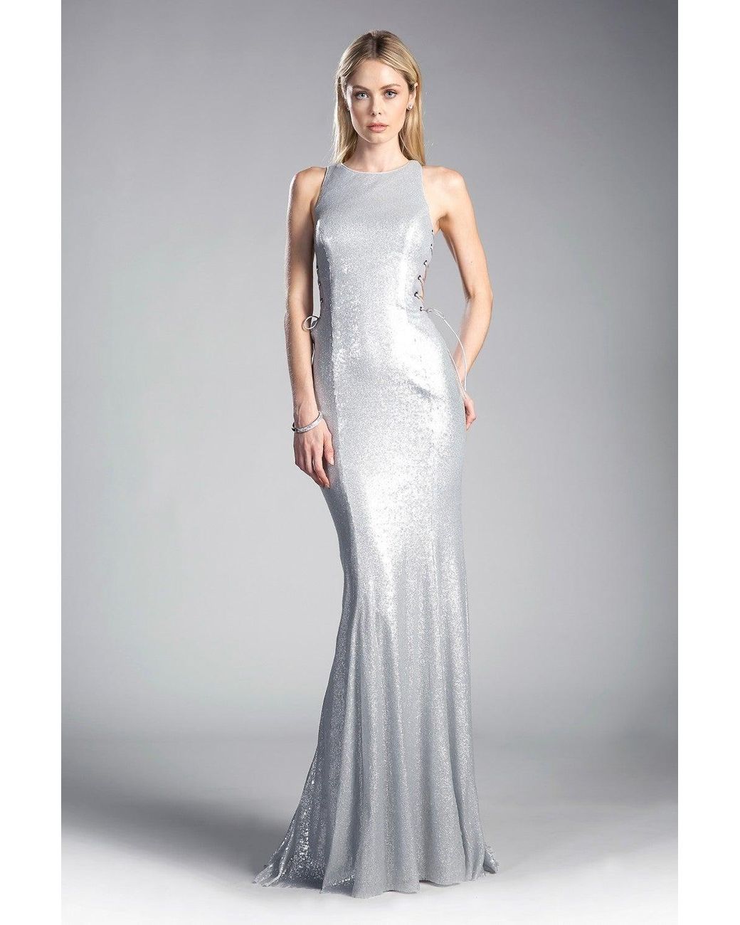 silver fitted gown