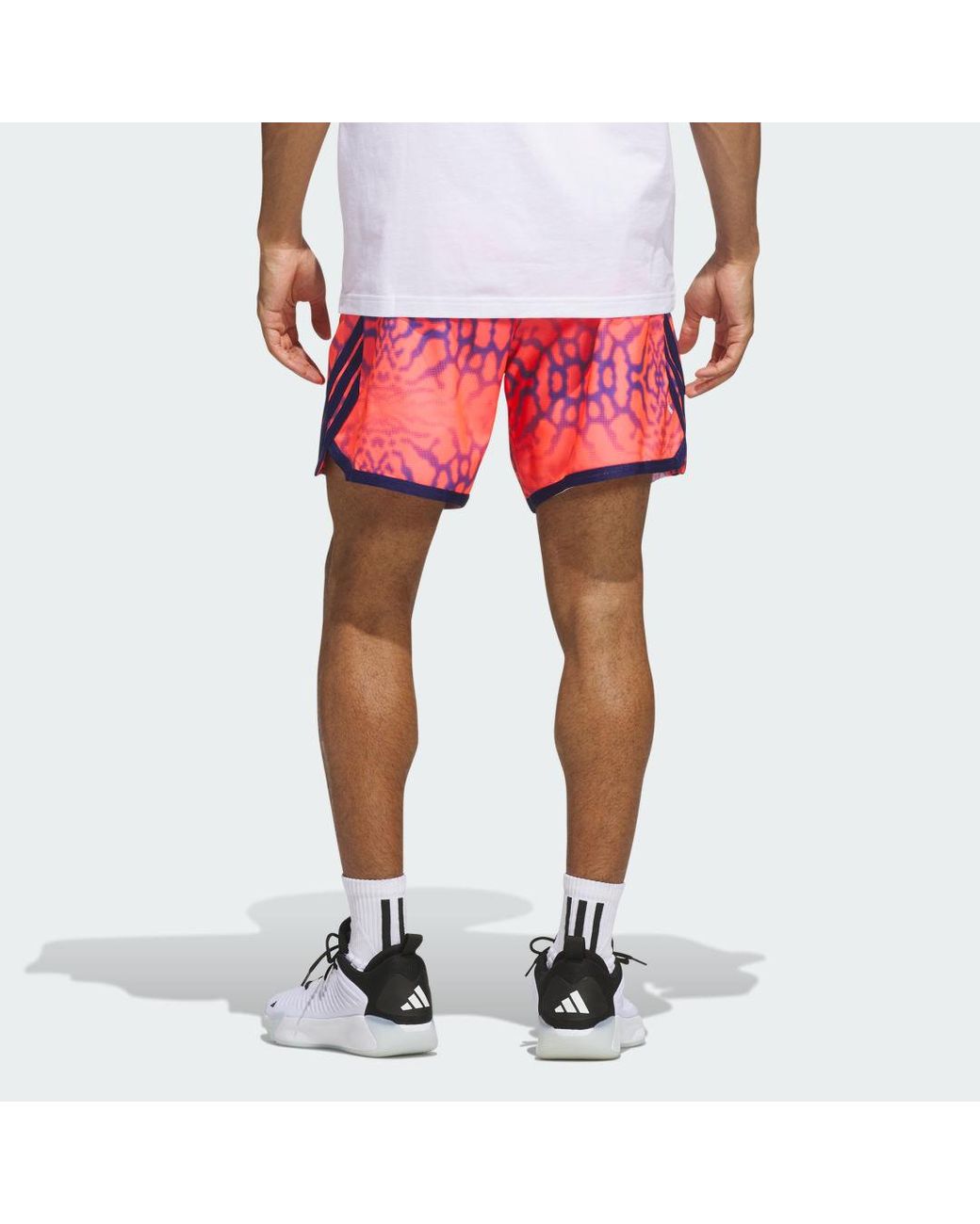 Adidas Pink Crazylite Graphic Short for men