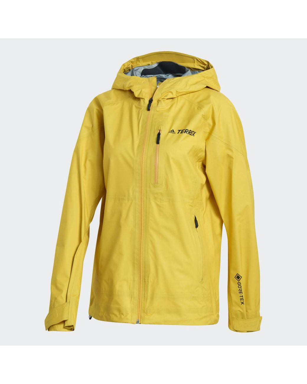 Adidas TERREX FASTR GTX Jacket Gore-Tex - Regenjas Trekking Jas Purple  GH1557 - Vergelijk prijzen