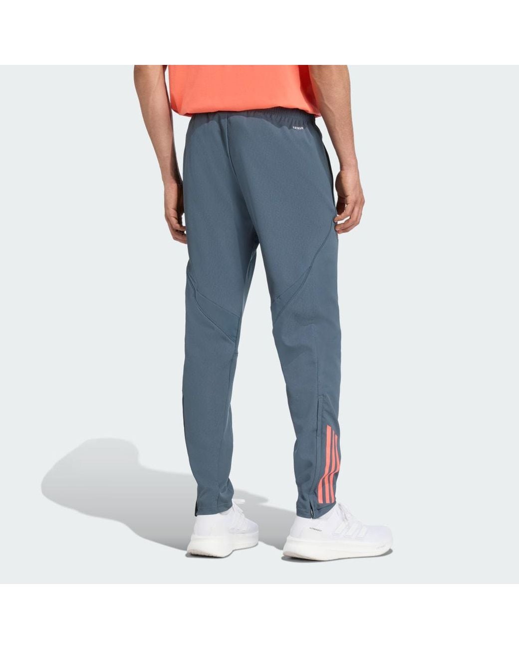 Adidas Blue Fc Bayern Tiro 25 Competition Presentation Tracksuit Bottoms for men
